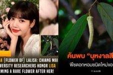 Lisa Blackpink: Siêu sao Kpop vinh danh với một loài cây mới tại Thái Lan